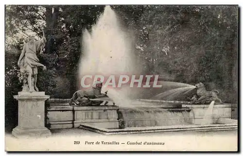 Cartes postales Parc de Versailles Combat d&#39Animaux Lion