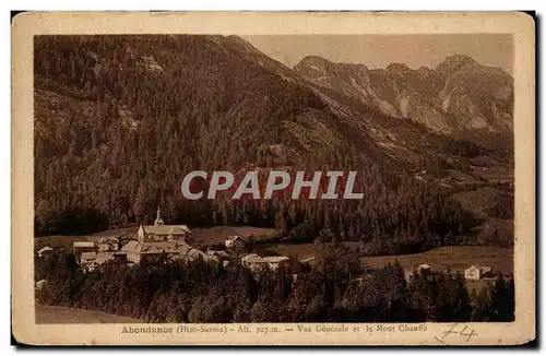 Ansichtskarte AK Abondance Vue Generale et le Mont Chauffe