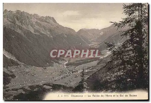 Cartes postales Chamonix la Vallee de l&#39Arve et le Col de Balme