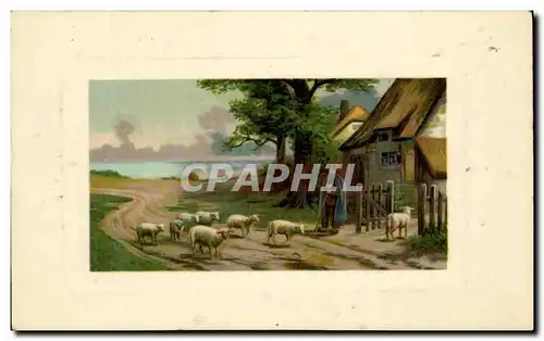 Cartes postales Fantaisie Berger et moutons