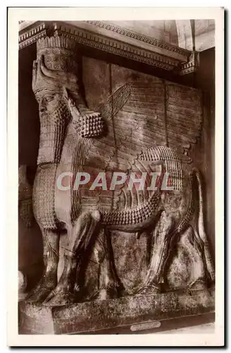Cartes postales Louvre Taureau aile a tete humaine roi Sargon