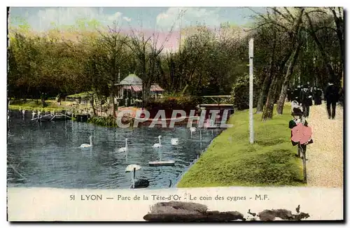 Cartes postales Lyon Parc De La Tete d&#39Or Le Coin Des Cygnes