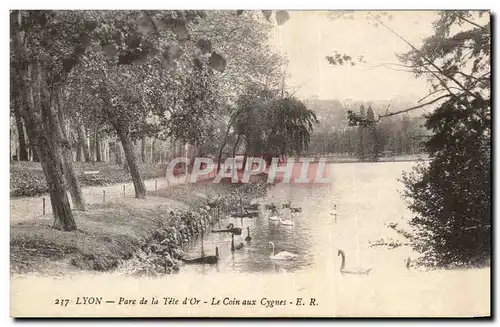 Cartes postales Lyon Parc De La Tete d&#39Or Le Coin Aux Cygnes