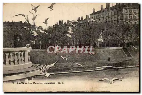 Cartes postales Lyon Les Mouettes Lyonnaises