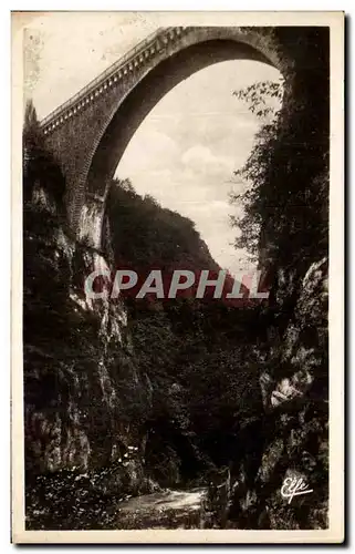 Ansichtskarte AK hautes Pyrenees Saint Sauveur Le Pont Napoleon