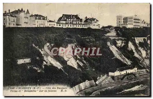 Cartes postales Biarritz Cote Des Basques Villas Et Helianthe Sur La falaise