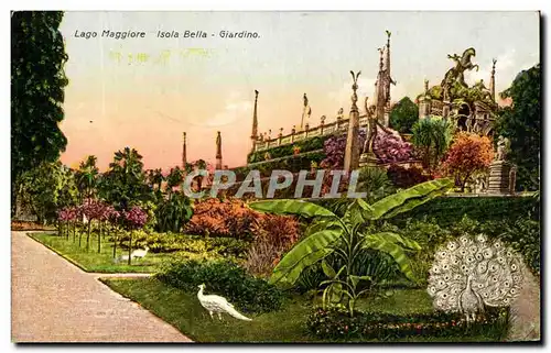 Cartes postales Italie Lago Maggiore isola Bella Giardino