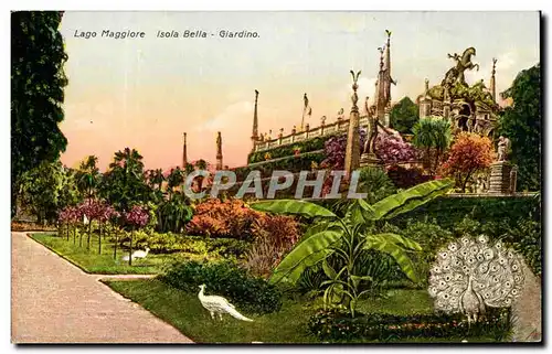 Cartes postales Italie Laggo Maggiore Isola Bella Giardino