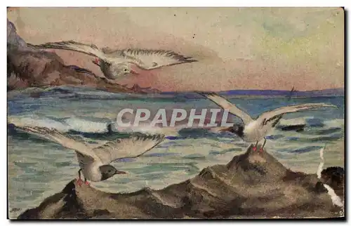 Cartes postales Fantaisie Mouettes oiseaux