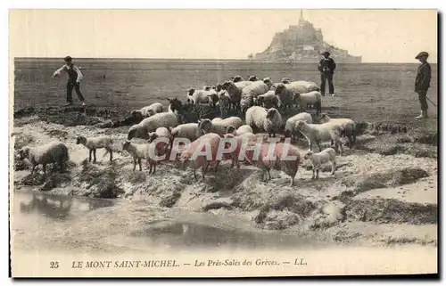 Ansichtskarte AK Le Mont Saint Michel Les Pres Sales des Greves