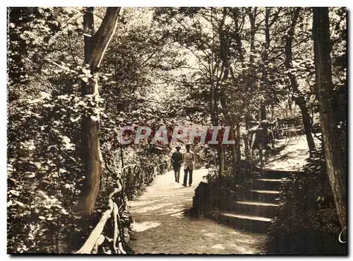 Cartes postales Chatelguyon Sous Bois dans le Parc