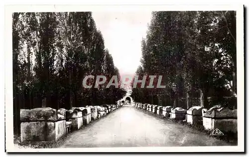 Cartes postales Arles Les Alyseamps allee Des Tombeaux