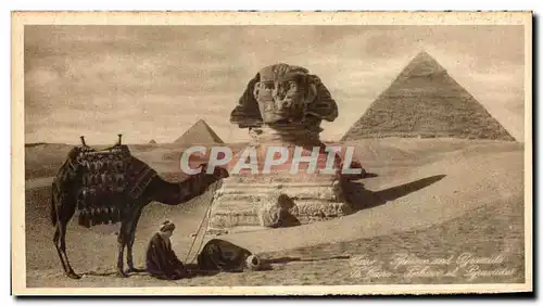 Ansichtskarte AK Egypte Sphinx et pyramide Chameau