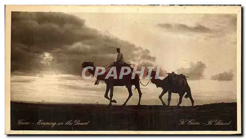 Cartes postales Egypte Le Caire Le Desert Chameaux