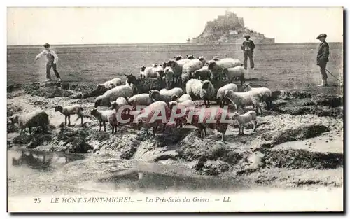 Ansichtskarte AK Le Mont St Michel Les Pres Sales des Graves Berger et moutons