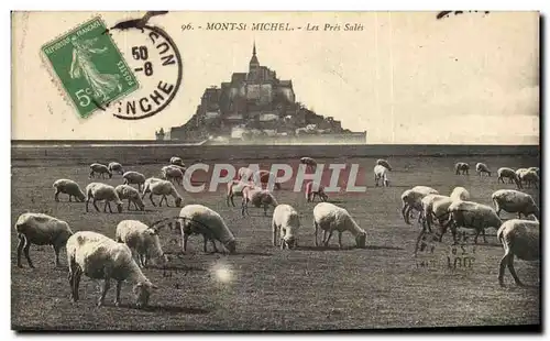 Ansichtskarte AK Mont St Michel Les Pres Sales Moutons