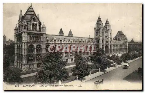 Cartes postales London The Natural History Musuem