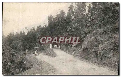 Cartes postales Entrance to Hakgalla Gardens Nuwera Eliya Sri Lanka
