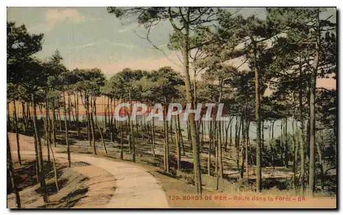 Cartes postales Bords De Mer Route dans la Foret