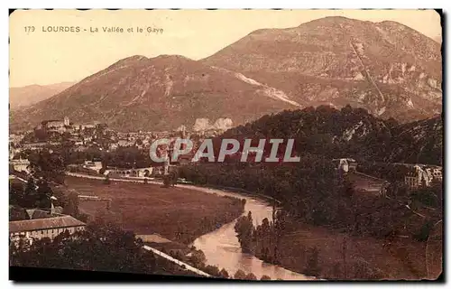 Cartes postales Lourdes La Vallee et le Gave