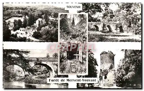 Cartes postales Souvenir Foret de Mervent Vouvant