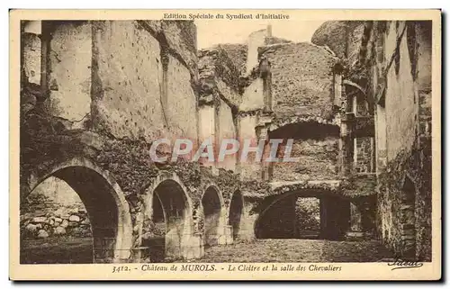 Cartes postales Chateau du Murols Le Cloitre et la salle des Chevaliers