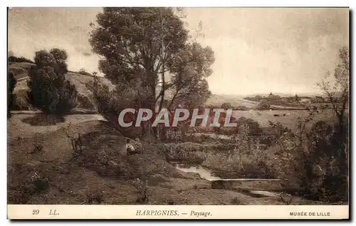 Cartes postales Harpignies Paysage Musee De Lille