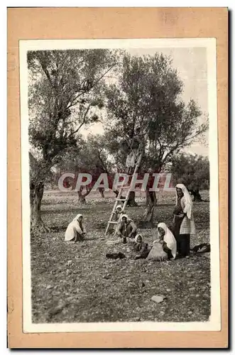 Photo Afrique du Nord Folklore