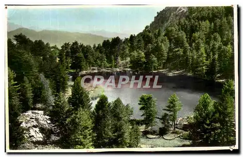 Cartes postales La Corse Ile De Beaute Lac de Creno