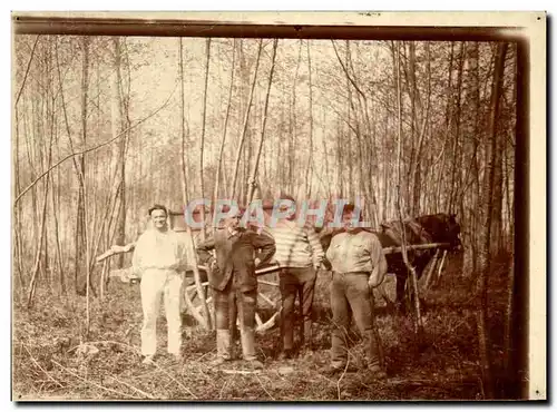 Photo Attelage dans les bois