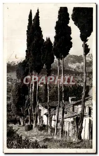 Cartes postales Paysage Provencal Collection La Cote d&#39Azur