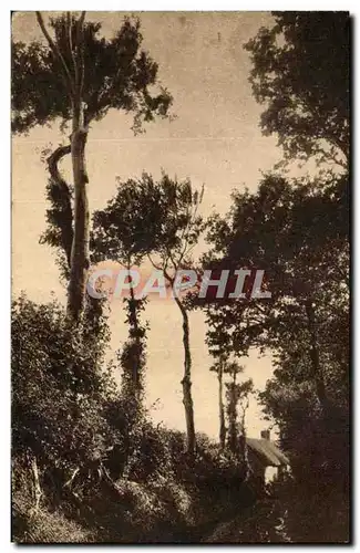 Cartes postales La Normandie pittoresque Chemin creux