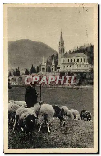 Cartes postales Lourdes La Basilique Berger et moutons