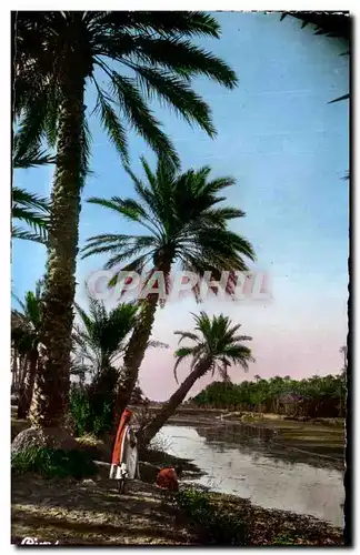 Cartes postales L&#39Afrique du Nord La Riviere Algerie