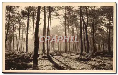 Cartes postales La Douce France Les Landes De Gascogne