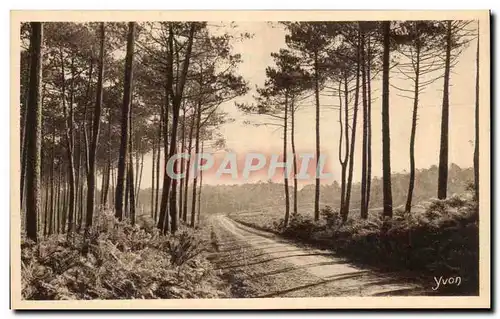 Cartes postales La Douce France Les Landes De Gascogne Route De Leon A Cap Breton