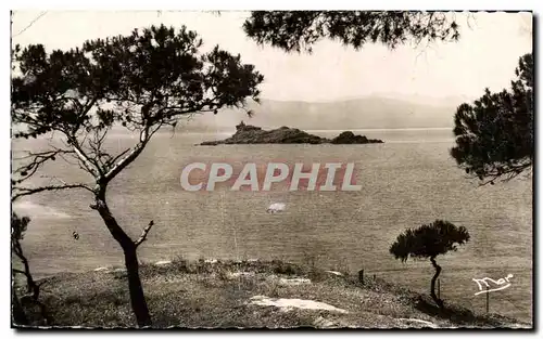 Cartes postales moderne La Cote d&#39Azur Saint Raphael Le Lion de mer