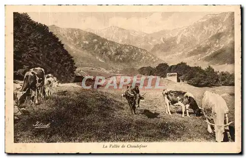 Ansichtskarte AK L&#39Auvergne Vallee de Chadefour Vaches