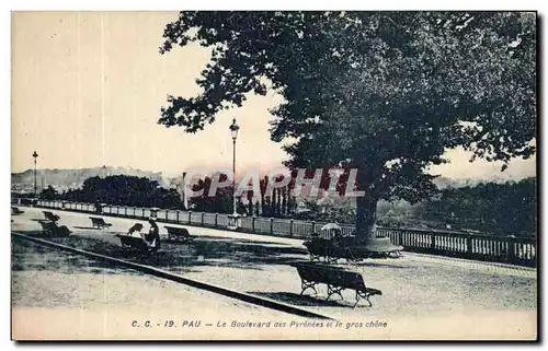 Cartes postales Pau Le Boulevard Des Pyrenees Et Le Gros Chene