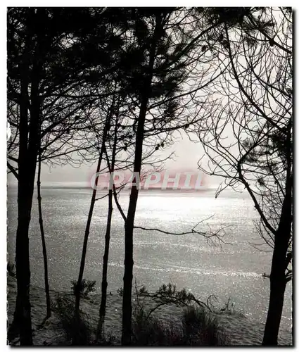 Cartes postales moderne Bassin d&#39Arcachon Coucher de soleil sur le bassin