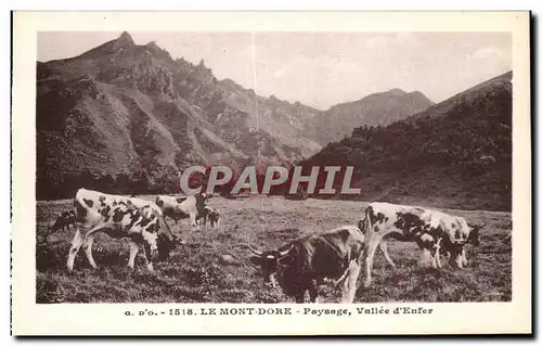 Cartes postales Le Mont Dore Paysage Vallee d&#39Enfer Vaches