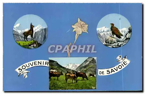 Cartes postales moderne Souvenir De Savoie Vaches Chamois Aigle Fleur sechee