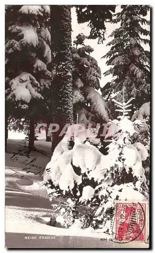 Cartes postales Neige Fraiche