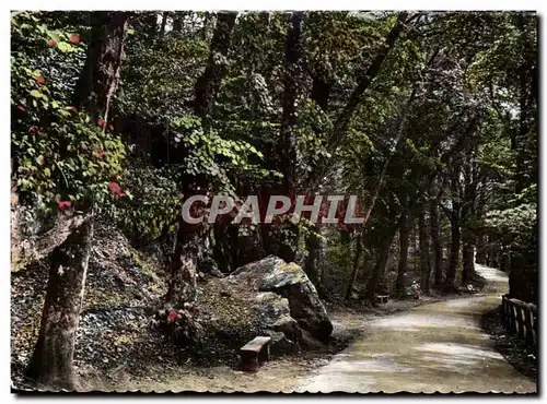 Ansichtskarte AK Bagnoles De L&#39Orne Allee Du Dante