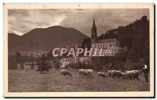 Ansichtskarte AK Lourdes La Basilique Vue de la prairie de la Grotte