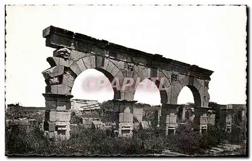 Cartes postales Volubilis Portique d&#39une rue