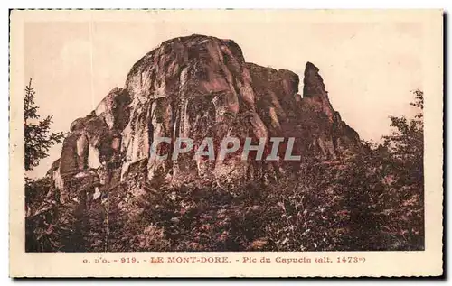 Cartes postales Le Mont Dore Pic Du Capucin