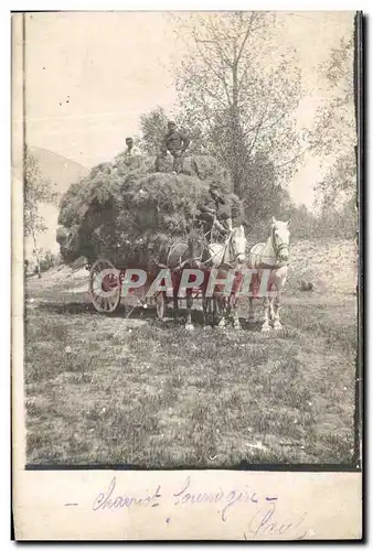 CARTE PHOTO Chariot Fouragere Chevaux