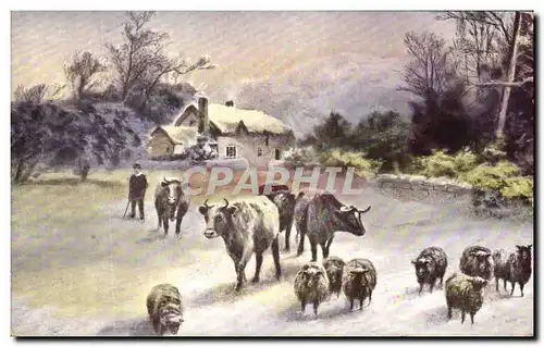 Cartes postales Fantaisie Vaches Moutons