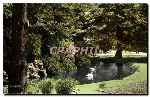 Cartes postales Rouen Les Cygnes du Jardin Solferino